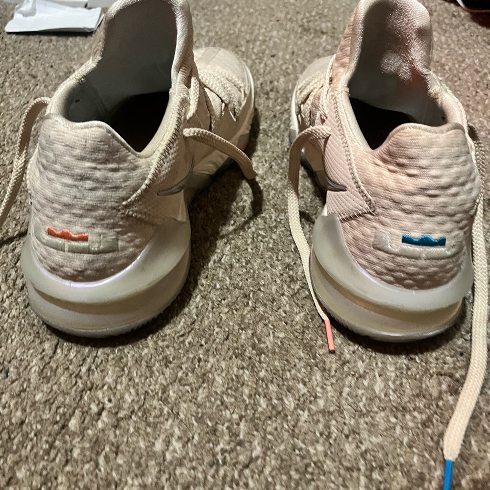 LEBRON HOOPING SHOES